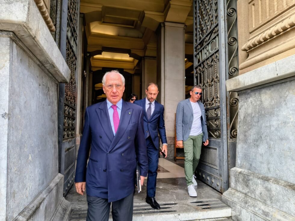 Ponte sullo Stretto, la Commissione Europea chiede lumi: un dialogo virtuoso o un azzardo ambientale? 1 ciucci a Messina 6