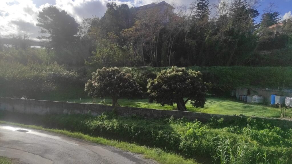 WhatsApp Image 2025 11 27 at 09.53.37