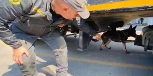 CALABRIA, Cronaca e news 5 voce di Sicilia