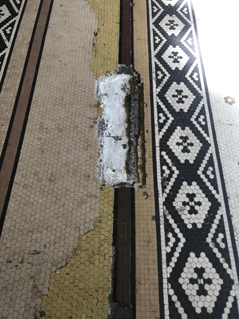 601364695 2335693943557730 5744177147979577159 n