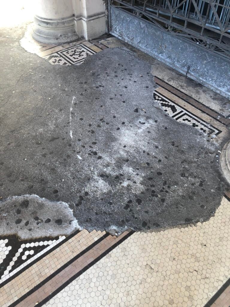 602920381 2335694030224388 9127726653754685770 n