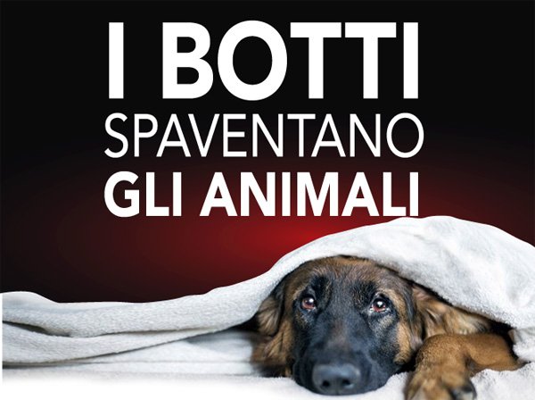 Capodanno a Messina, l'ultimatum animalista: «Stop ai botti o il Comune pagherà i danni». L'arma dell'articolo 13 3 Botti animali