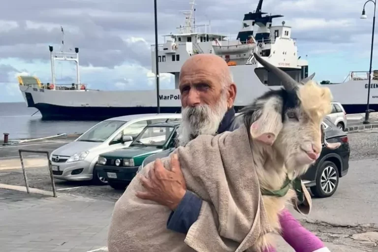Utano e Pongo