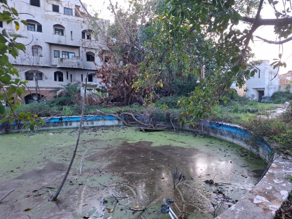 597396460 122154697172867752 7375702353666722901 n