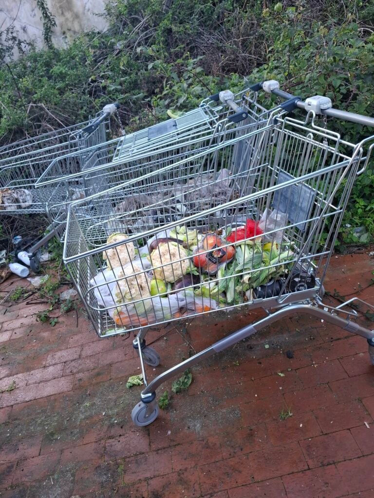 600386035 122154697382867752 8001311326066212358 n