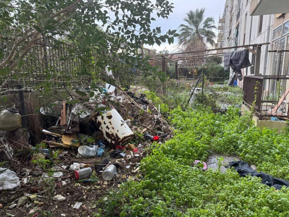 614596521 122150663006665905 449622059214225726 n