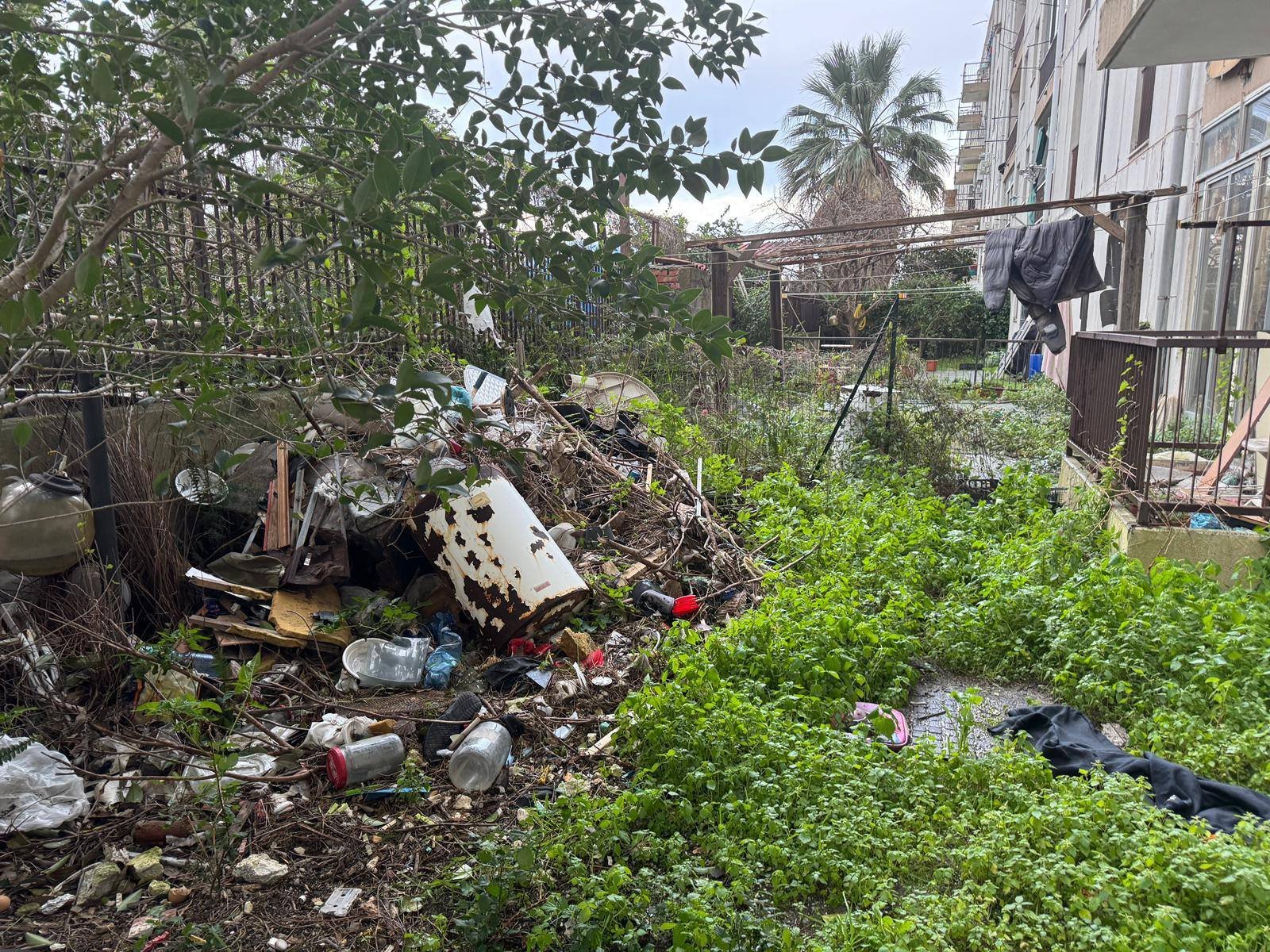 614596521 122150663006665905 449622059214225726 n