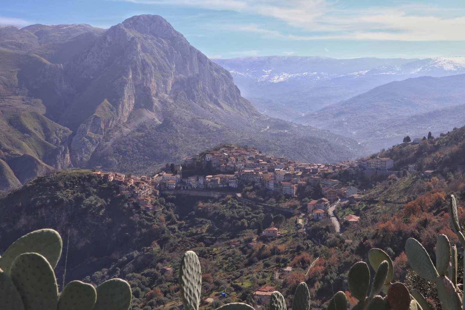 Militello Rosmarino 1 scaled