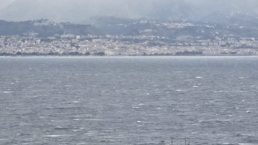 WhatsApp Image 2026 01 20 at 08.03.12