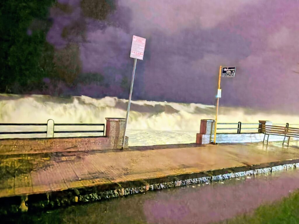 WhatsApp Image 2026 01 20 at 10.42.50 2