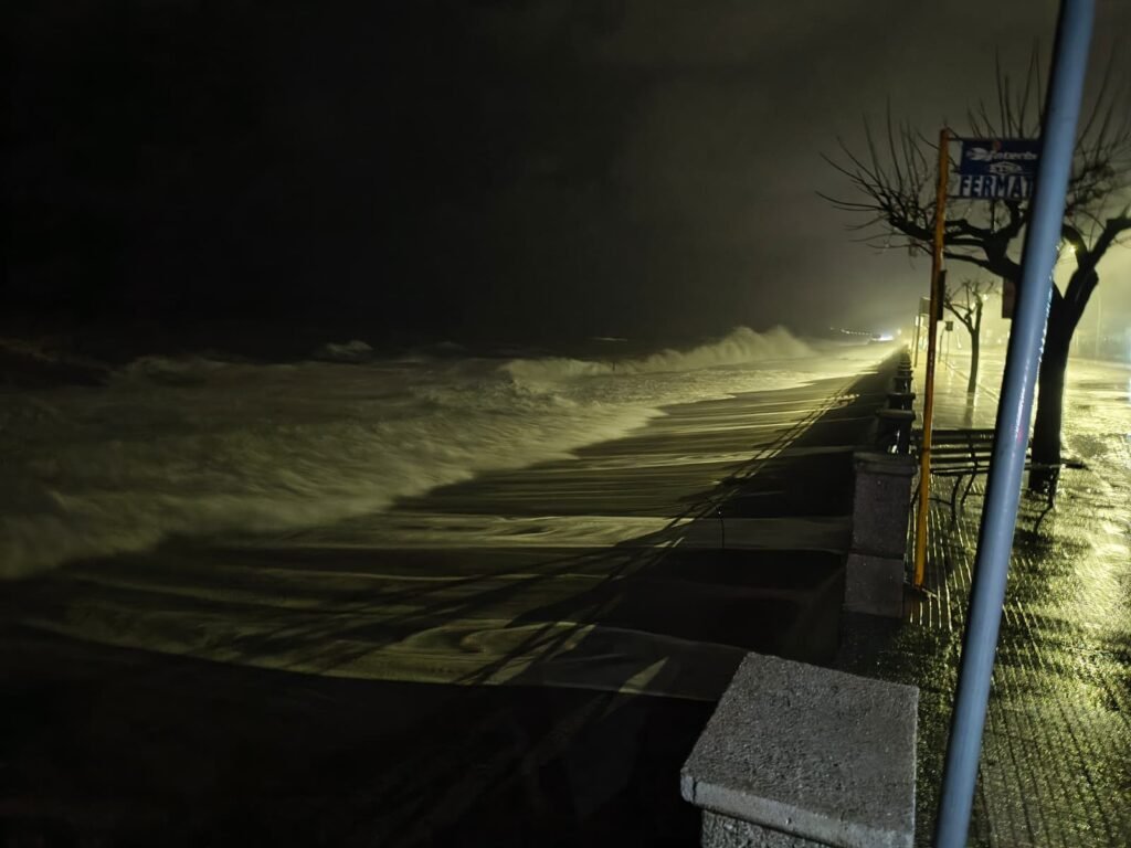 WhatsApp Image 2026 01 20 at 10.42.53