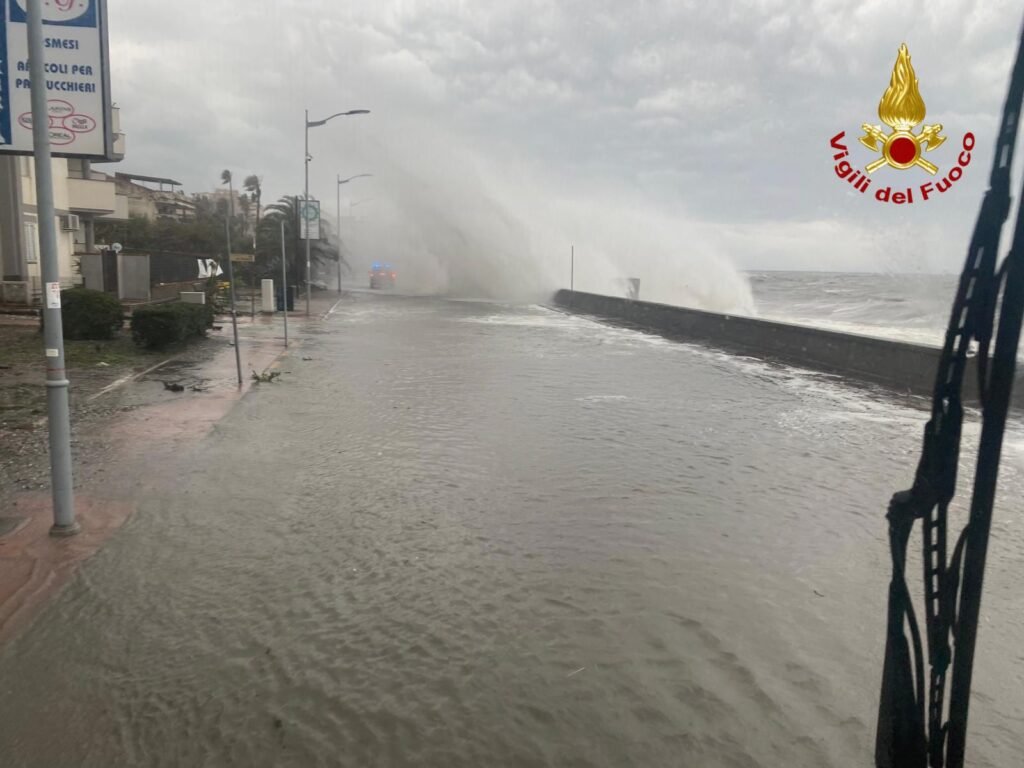 WhatsApp Image 2026 01 20 at 19.53.30 2