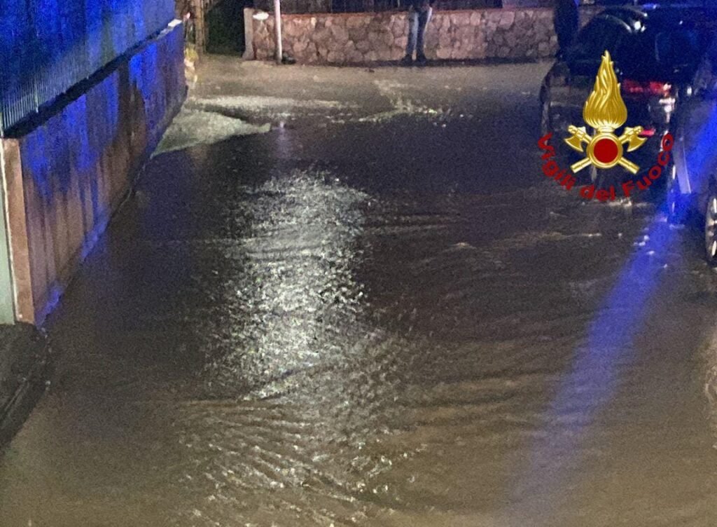 WhatsApp Image 2026 01 20 at 19.53.31