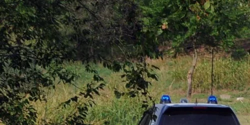 Voce di Sicilia 10 voce di Sicilia