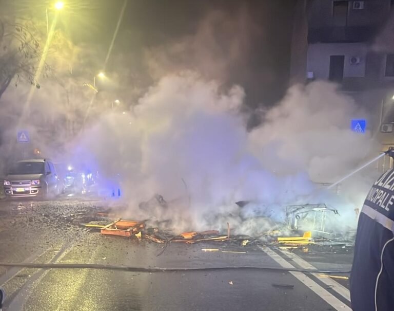 catasta in piena strada