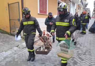 Voce di Sicilia 3 voce di Sicilia