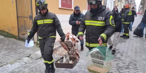 Voce di Sicilia 12 voce di Sicilia