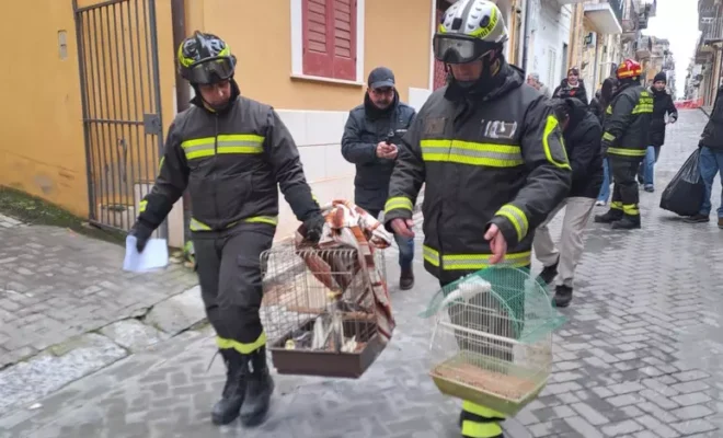 Voce di Sicilia 37 voce di Sicilia