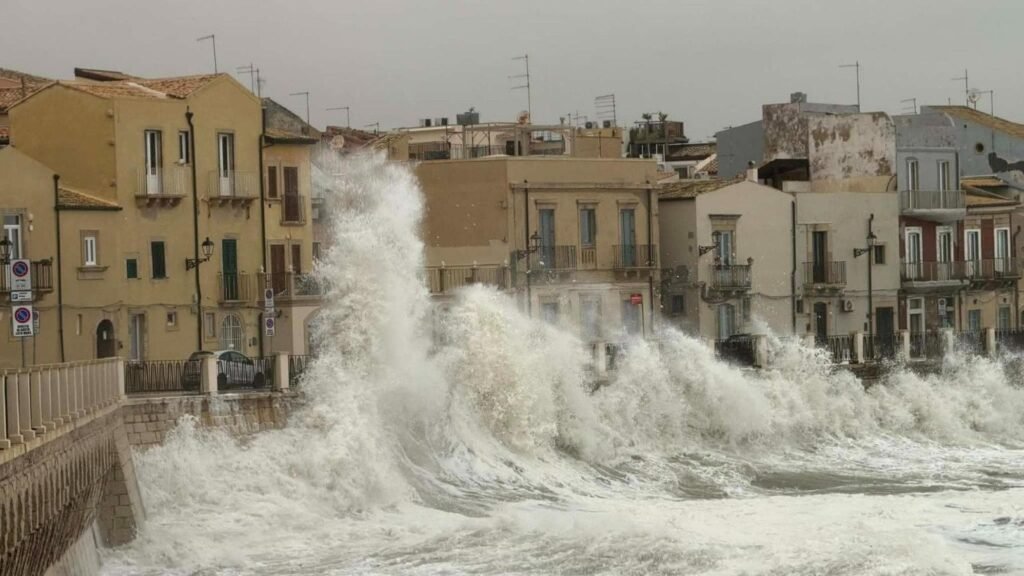 000513915 76e8eccf 70e1 43a3 9f32 5a0c8ae24168