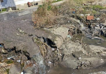 Voce di Sicilia 2 voce di Sicilia