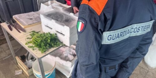 Voce di Sicilia 15 voce di Sicilia