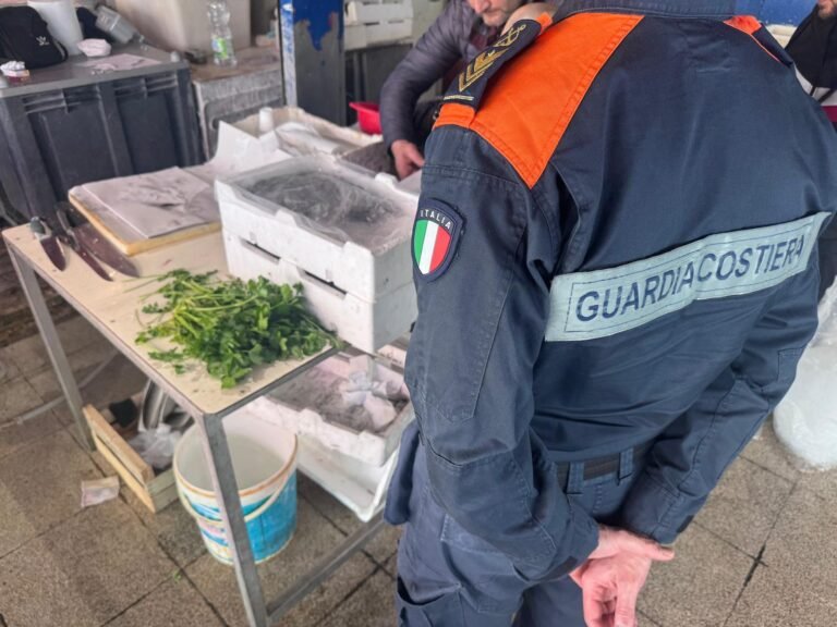 Blitz al mercato di Sant'Orsola: sequestrati 23 kg di pesce irregolare e "neonata"