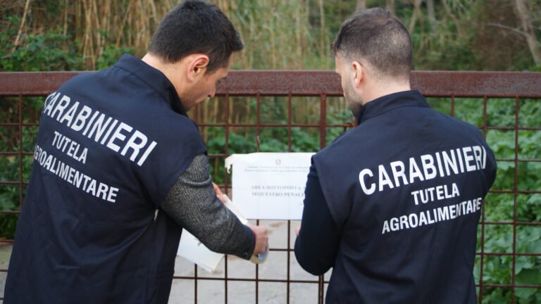 Truffa milionaria sui fondi agricoli Ue: sgominata rete criminale, sei misure cautelari