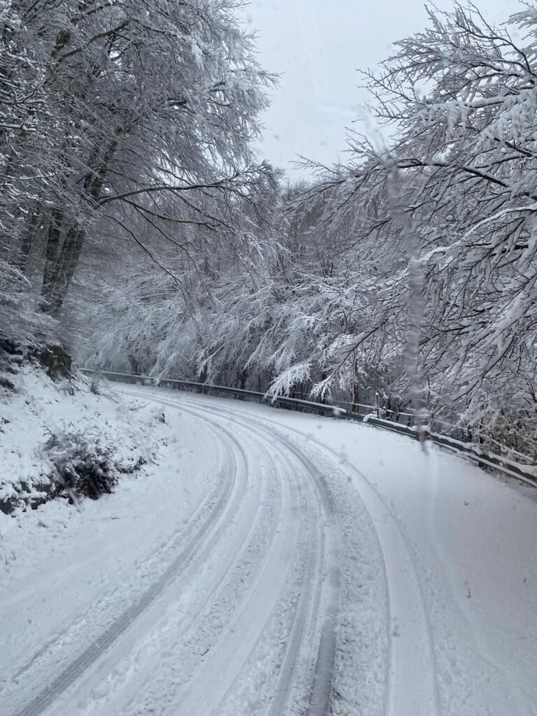 S.P.168 Caronia Capizzi 2