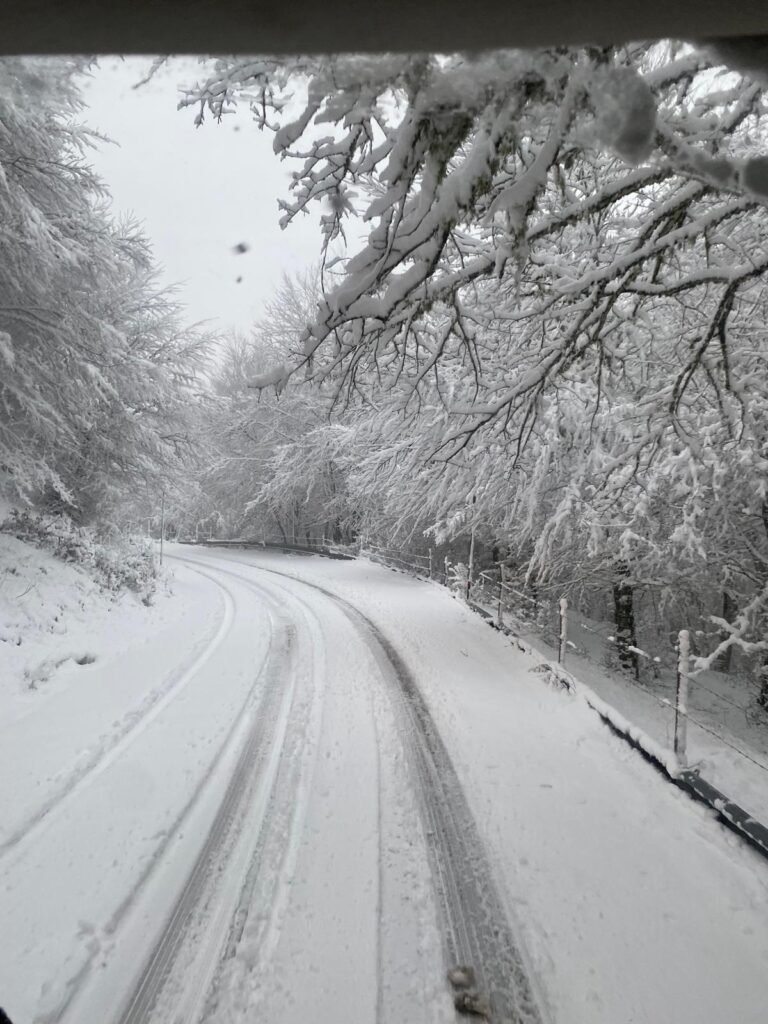 S.P.168 Caronia Capizzi 5