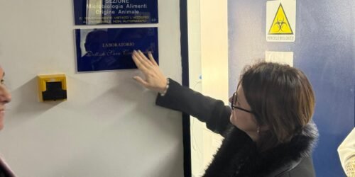 Voce di Sicilia 17 voce di Sicilia