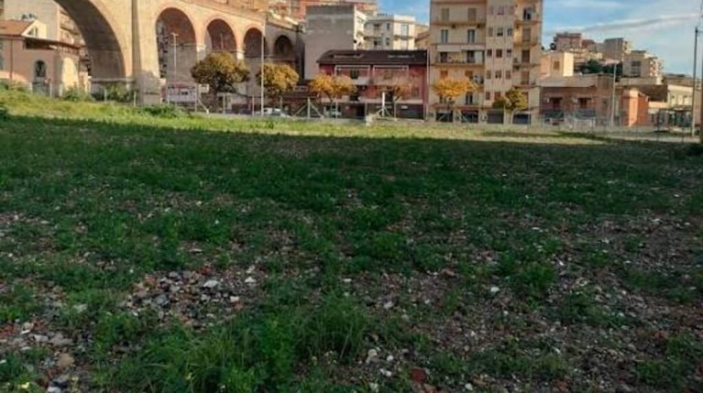 WhatsApp Image 2026 02 04 at 07.30.38