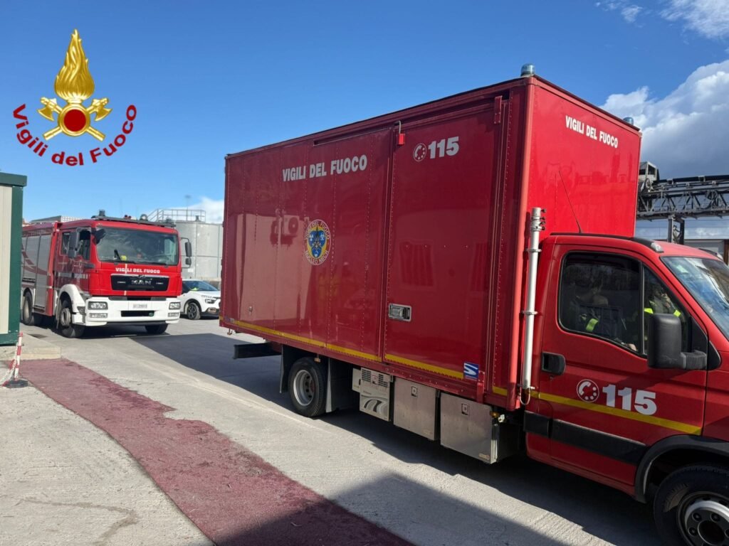 WhatsApp Image 2026 02 05 at 15.36.58