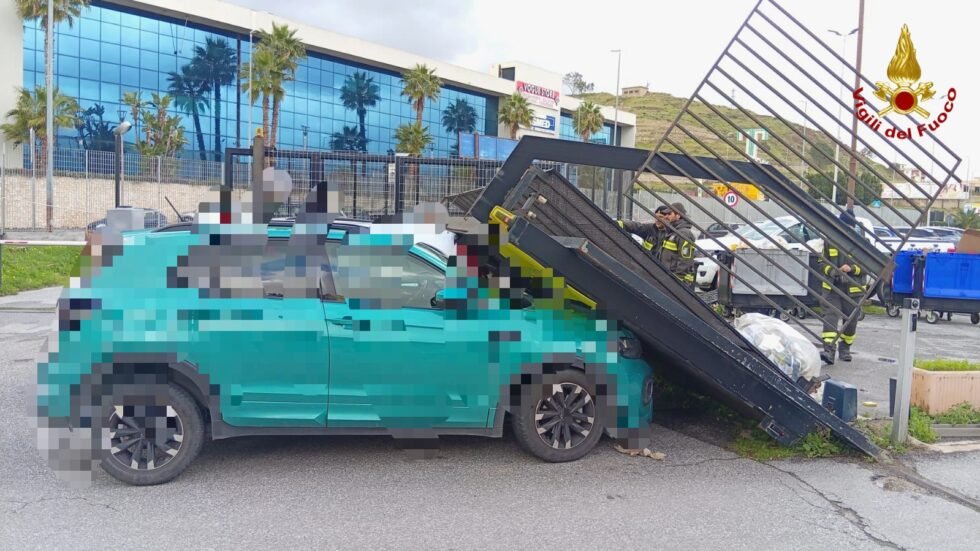 WhatsApp Image 2026 02 12 at 19.34.00