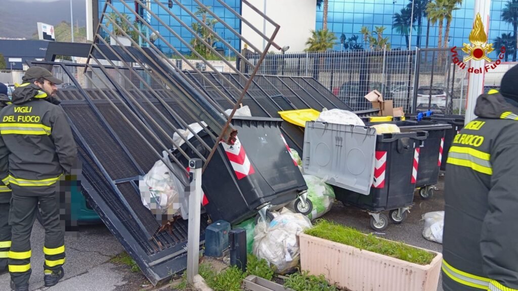 WhatsApp Image 2026 02 12 at 19.34.02