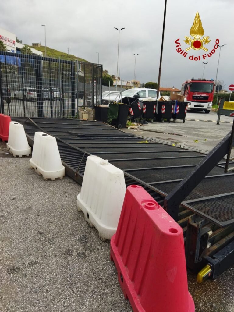 WhatsApp Image 2026 02 12 at 19.34.023