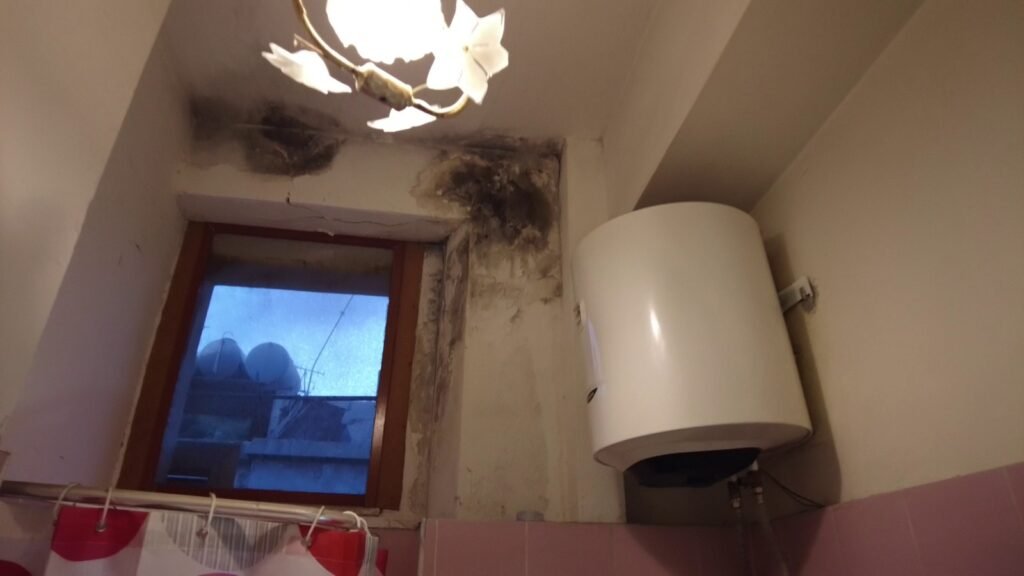 Alloggi popolari fatiscenti, Musolino (IV): "Basta inerzia, inviata formale richiesta di intervento urgente al Commissario Mattei per l'immobile comunale" 3 1000346168