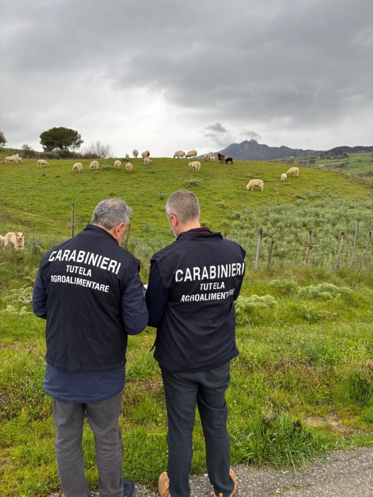 2026.03.17 sequestro beni per truffe AGEA Rep. Tut. Agroalimentare Messina foto 1