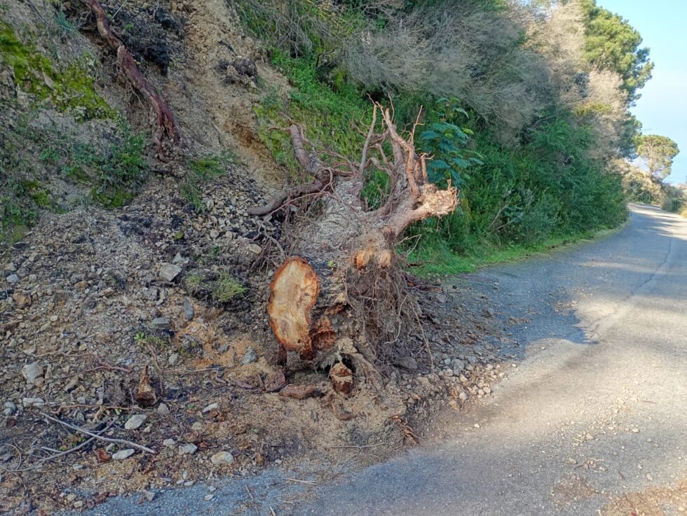 PHOTO 2026 03 01 12 33 17