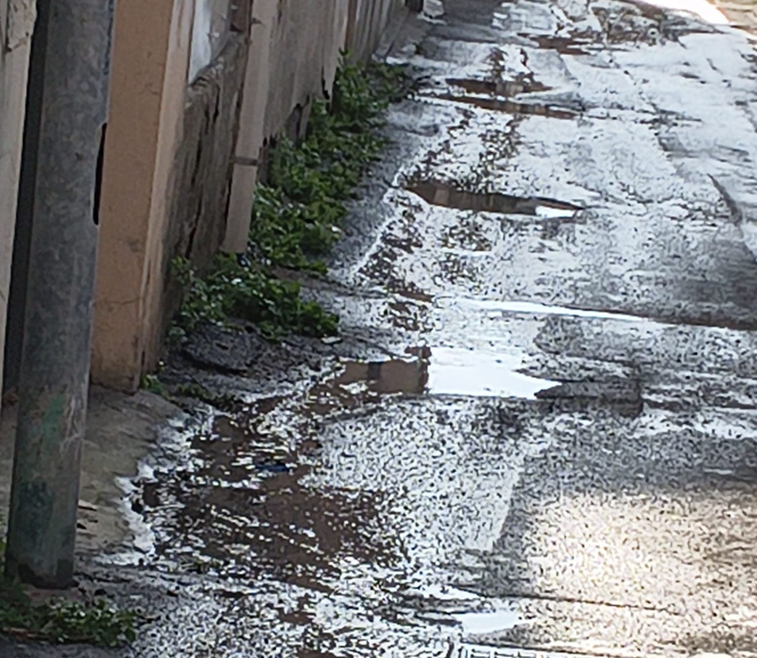 WhatsApp Image 2026 03 11 at 09.05.44