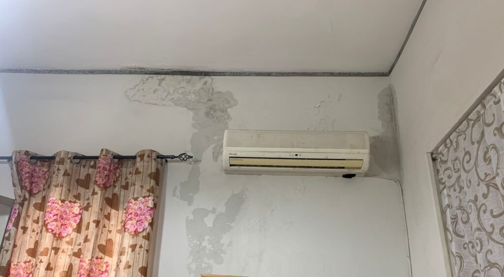 La casa di muffa e il "miracolo" elettorale: parla la residente. Ecco la verità sull'alloggio di via Arezzo 5 via arezzo6