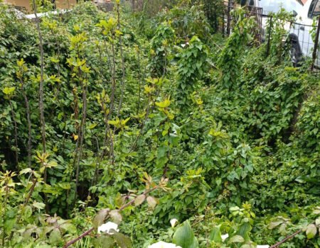 Home 10 voce di Sicilia