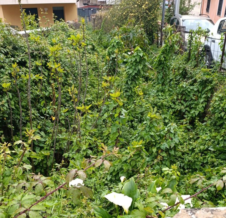 Foto torrente Pozzi