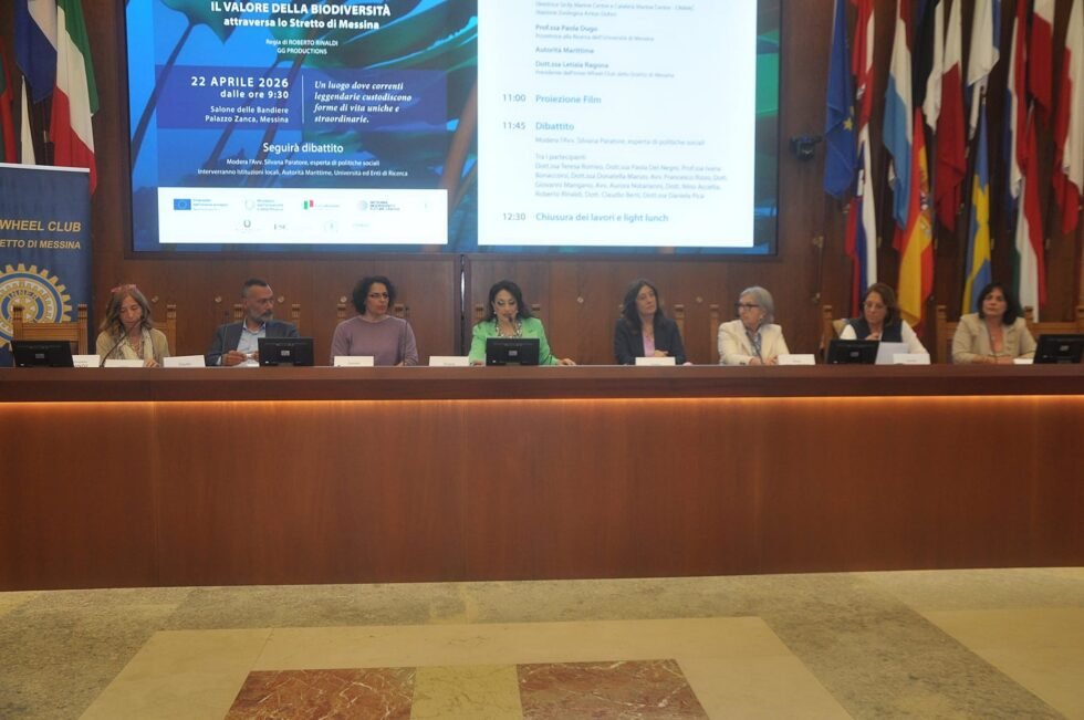 WhatsApp Image 2026 04 22 at 18.21.27