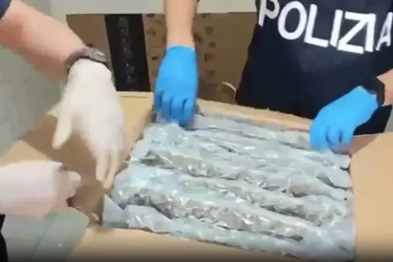 Trasformava marijuana light in 'adulterata', arrestato ricercato