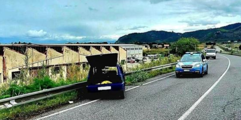 Home 1 voce di Sicilia