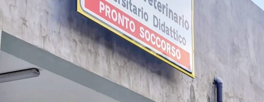 voce di Sicilia
