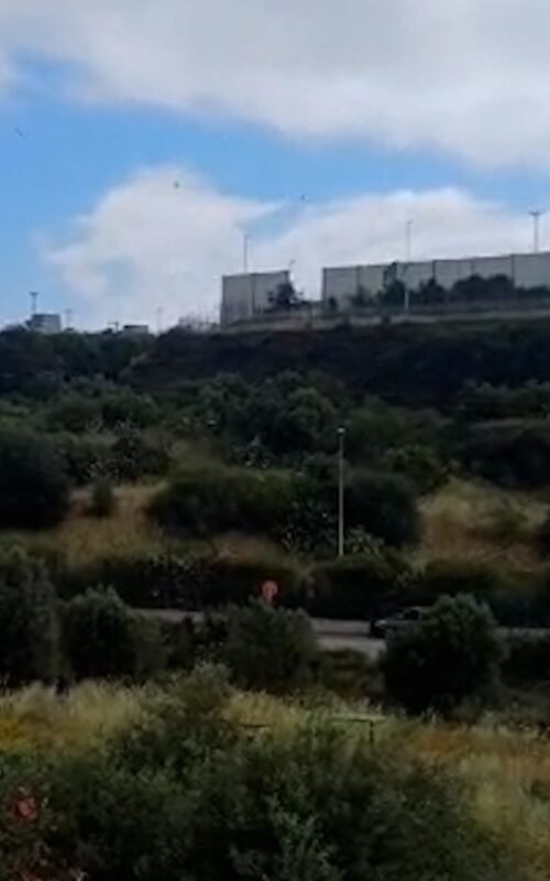 voce di Sicilia