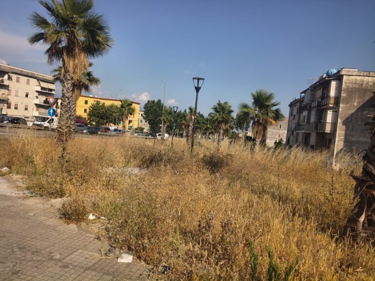 Cacciotto, "Un anno di promesse non mantenute: raso al suolo il verde di Foresta Me a Villaggio Aldisio, Fondo Fucile e Viale Gazzi"