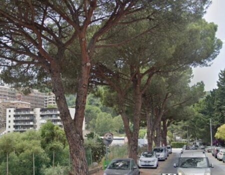 voce di Sicilia
