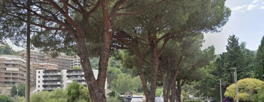 voce di Sicilia